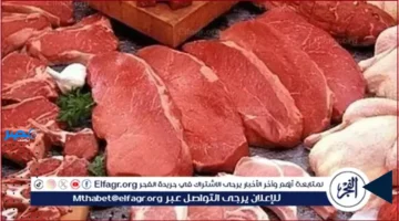 أسعار اللحوم.. تحديث أسعار اللحوم البلدي والمفرومة في المنيا اليوم الأحد 5 أكتوبر 2025